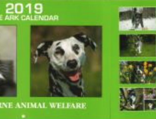 Ark 2019 Calendar on sale now