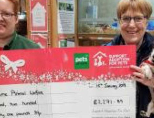 Santa Paws Appeal
